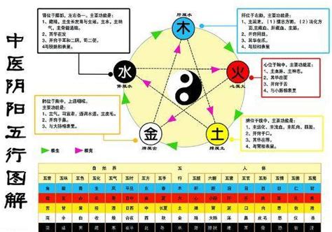 金生水職業|為何五行缺金水會影響運勢？